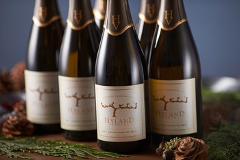 2018 Brut 6 Pack